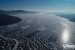 吉林岔路河最新爆料新闻,揭秘神秘事件背后的真相