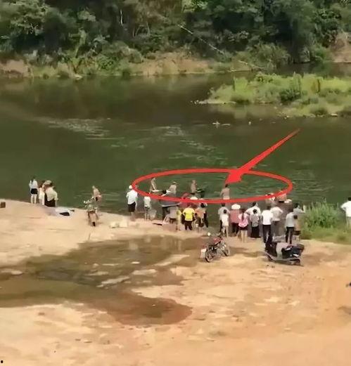 莆田水库爆料事件视频,真相与争议交织